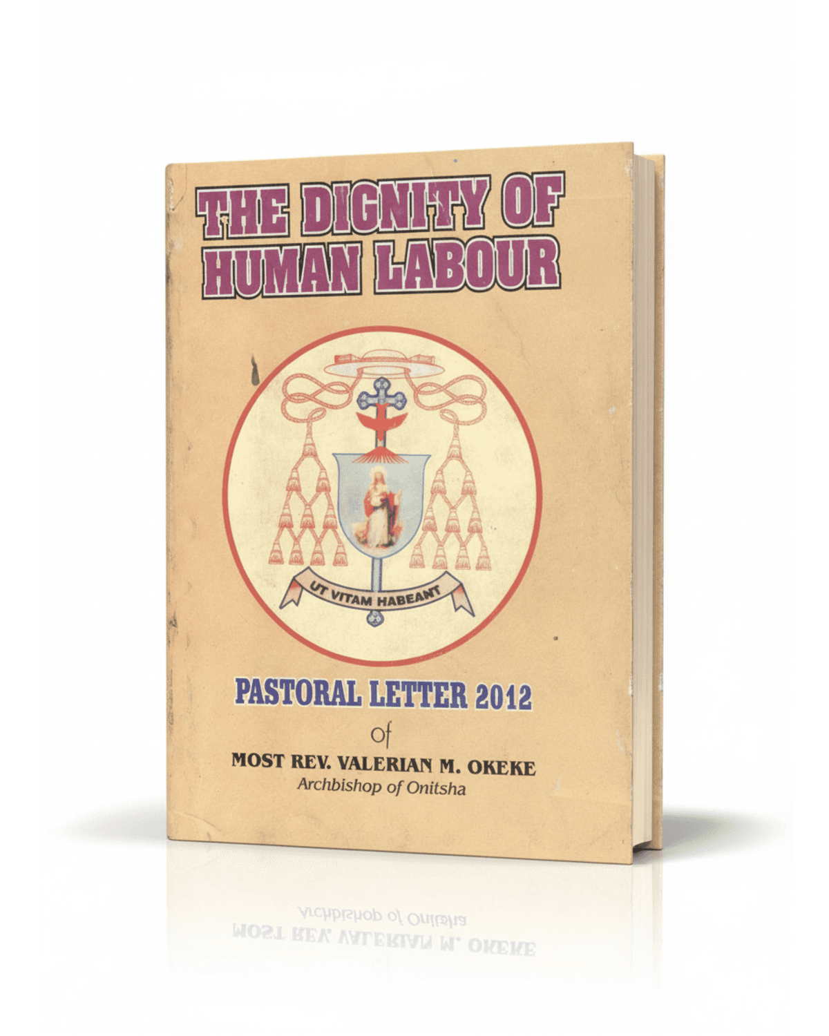 Cover of The Dignity of Human Labour
